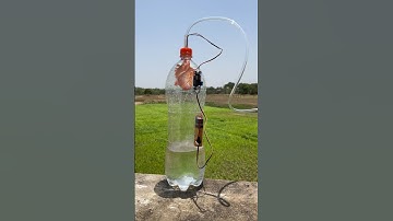 Cigarette Vs Lungs Experiment # shorts #outofmind