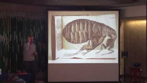 Science for Families - The Smallest Particles | Robbert Dijkgraaf