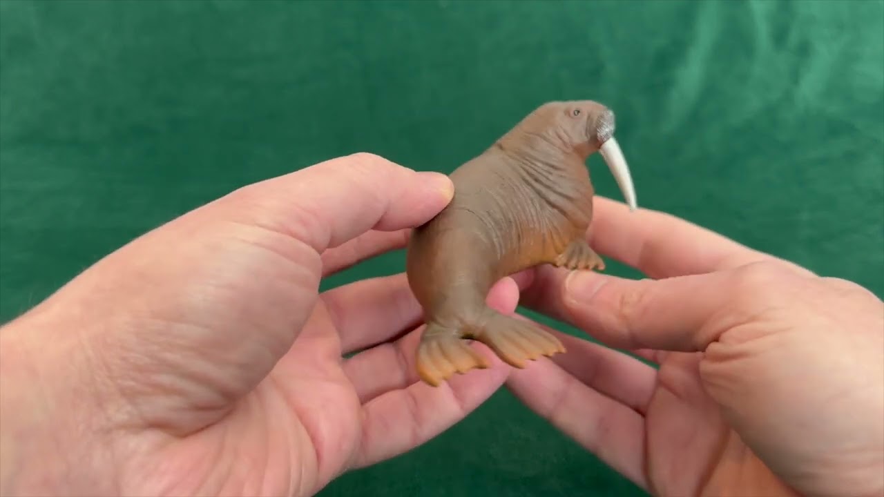 Schleich Walrus from 2017!
