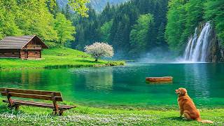 Restaure seu sistema nervoso🌿Música relaxante para aliviar a ansiedade e parar de pensar demais