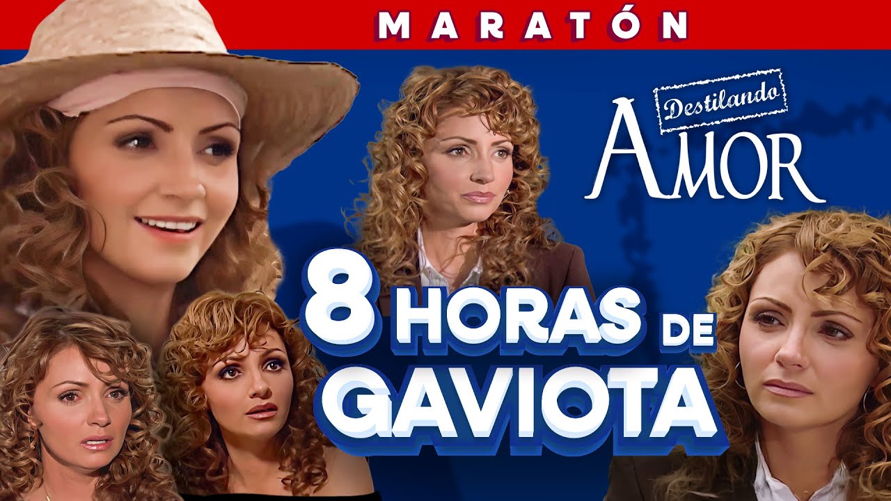 Los mejores momentos de Angélica Rivera como Gaviota en Destilando Amor