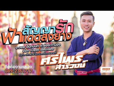สัญญารักฟ้าแดดสงยาง - ศรีไพร สารีวงษ์【MUSIC VIDEO】