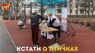 Кстати о птичках