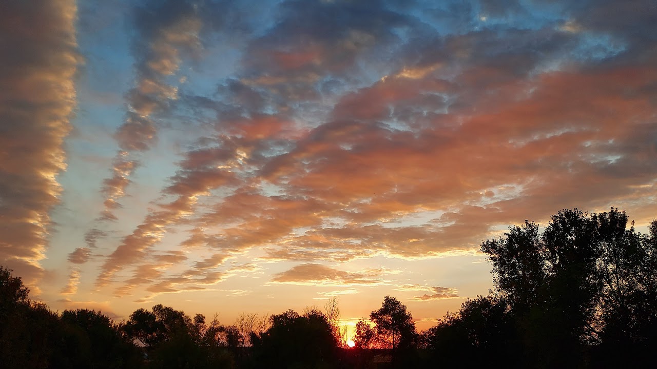 Trying to get all the endings in Paper Lily!!