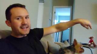 MegaEsophagus Dog 🐕 Tips | Being Super Attentive to Your Doggy