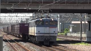 JR貨物 EF65-2069 貨物列車 (5087レ JR貨物更新色 赤プレ)東海道線 笠寺駅