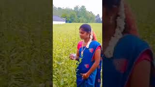 Look Change Village Girl