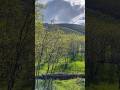 سروشتی جوانی کوردستان: تریفە و تەپەسەوز Beauty of Kurdistan Nature #Halabja #bawarmf