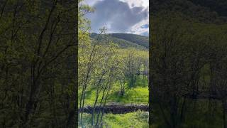 سروشتی جوانی کوردستان: تریفە و تەپەسەوز Beauty of Kurdistan Nature #Halabja #bawarmf