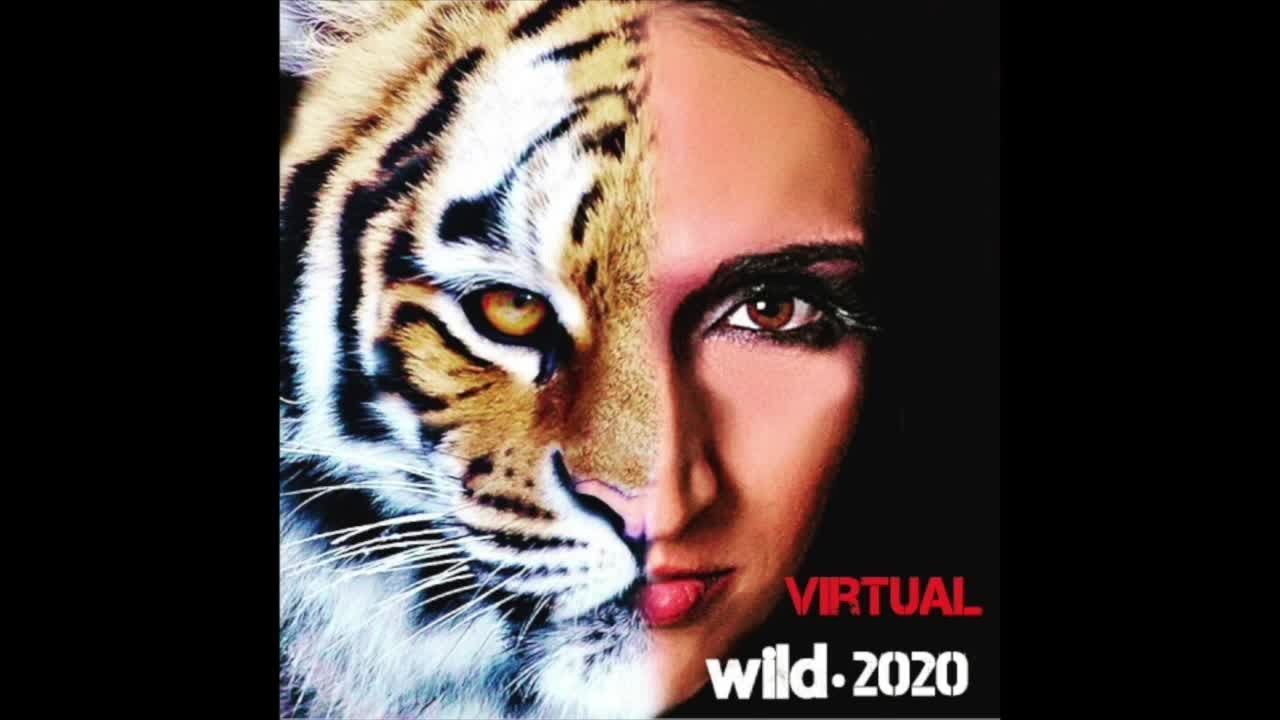 Virtual WILD 2020 YouTube