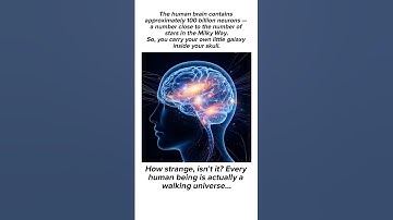 The Human Brain Holds as Many Neurons as the Milky Way Has Stars