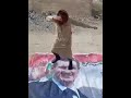 هل وعدني حرام دردحلج ما دردحلش هل وعدني حرام دردحلج ما دردحلش