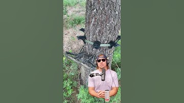 Are you a saddle platform hunter or ring of steps hunter? #saddlehunting #publiclandhunting