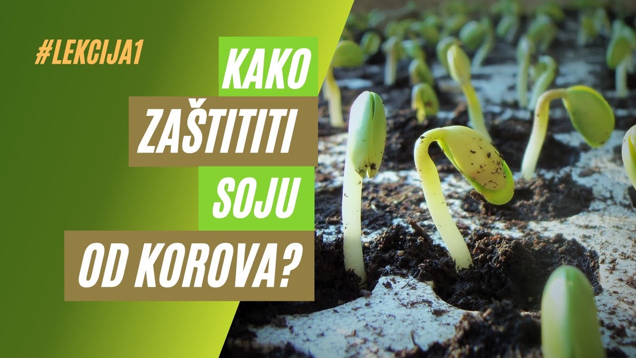 EVO efikasnih PREPARATA za zaštitu SOJE –  Preporučuju STRUČNJACI! | Agromarket ONLINE Prezentacije