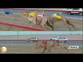 الشوط 2 عوايد لـ سلمان سليم المسعودي تمهيدي المرموم 2018 الأربعاء 2018 9 19 المرموم ايذاع
