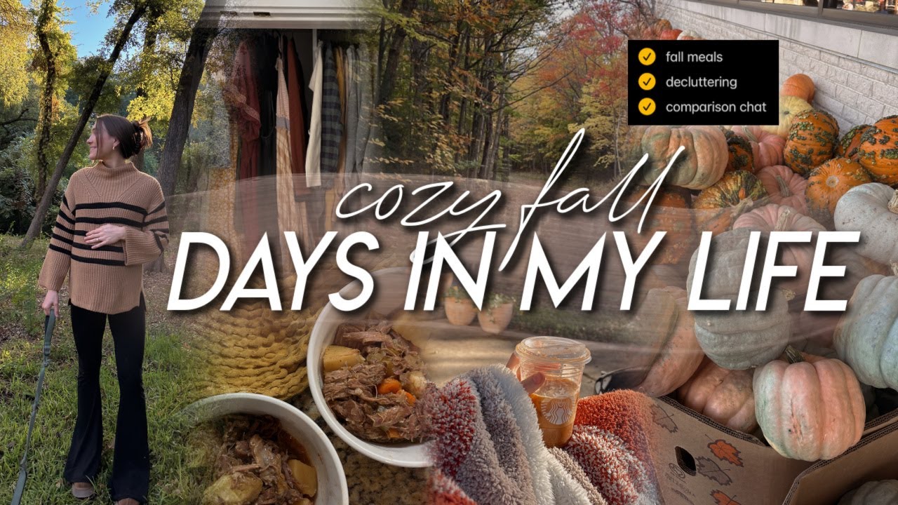 DAYS IN MY LIFE | decluttering, fall mall outing, cooking cozy dinners ...