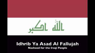 Idhrib Ya Asad Al Fallujah