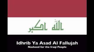 Idhrib Ya Asad Al Fallujah