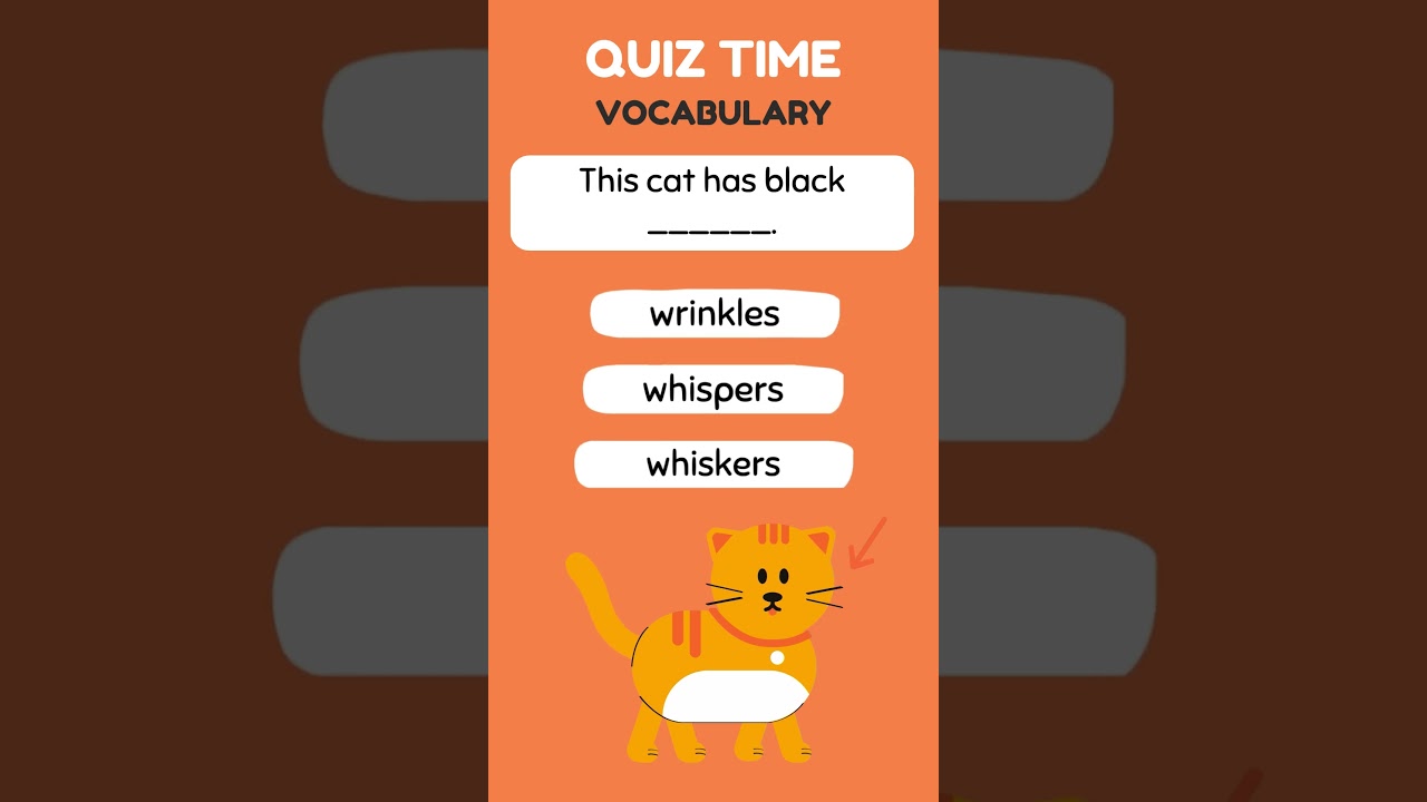 Quick English Vocabulary Quiz for ESL Learners Test Your Word Power! 