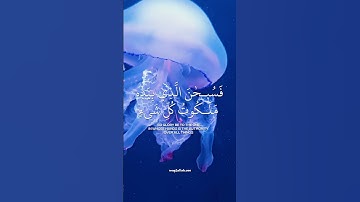 فسبحان الذي بيده ملكوت كل شيء ✨ - سورة ياسين