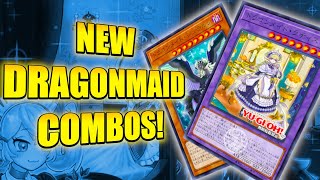 5 INSANE DRAGONMAID COMBOS W/ NEW SUPPORT! Yu-Gi-Oh!