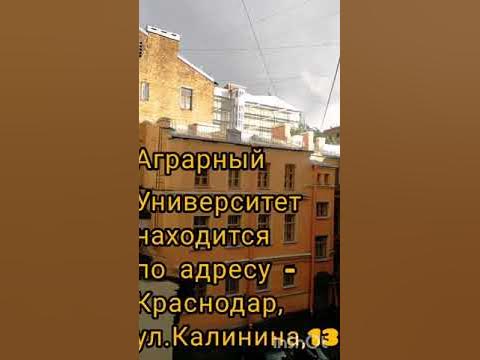 Где учится сын "Мамы Отличника" и пословица «Лучше быть головой мухи ...