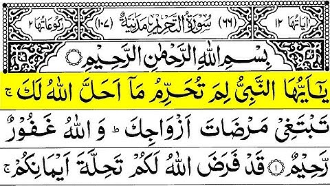 Surah At Tahrim سورة التحريم - Hani Ar Rifa'i|umair al Quran|