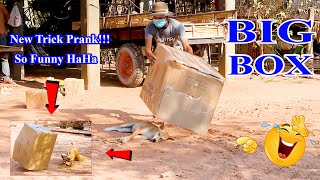 Wow! New Trick Prank Dog Super Funny with The Huge Box Prank on Sleep Dogs - What to See?