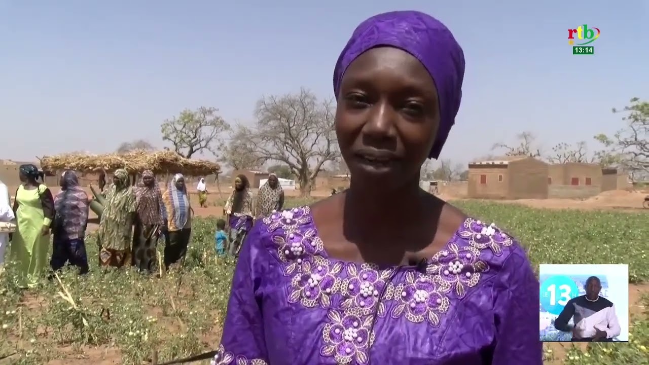 Les femmes du Sourou fédèrent leur effort en coopératives dans la production agricole et l’avicole