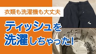 ティッシュを洗濯機で洗ってしまった時の対処法 くらしのマーケットマガジン ティッシュを洗濯機で洗ってしまった時の対処法 くらしのマーケットマガジン