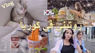 روتين فتاة عربية في كوريا Jihanette 🇰🇷