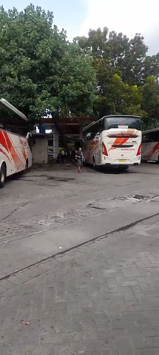 LIVE...!!! Terminal GIWANGAN YOGYAKARTA #BusAndBusChannel
