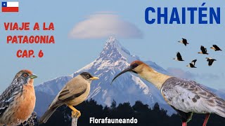 Viaje a la Patagonia - Llegamos a CHAITÉN 🇨🇱 - Capítulo 6