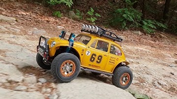 Mst cfx sandscorcher run~