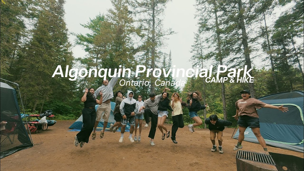 Camping at Algonquin park - Whitefish Lake