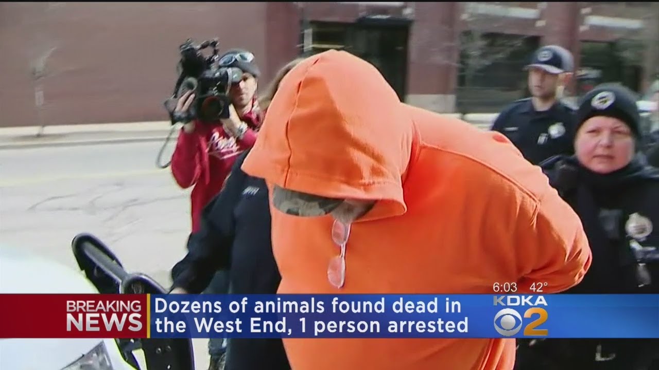 West End Man Facing Animal Cruelty Charges - YouTube