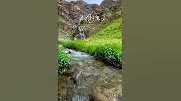 سورة إلاخلاص الشيخ سعد الغامدي