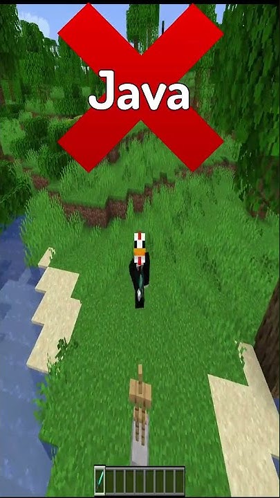 Java VS Bedrock Minecraft Can you Add Swords To Armour Stands - YouTube