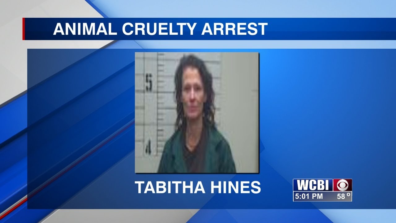 Clay County woman charged with animal cruelty - YouTube