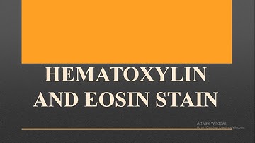 HAEMATOXYLIN AND EOSIN STAIN
