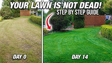 How To Fix An UGLY LAWN By Overseeding! DIY Step By Step Guide For Beginners!