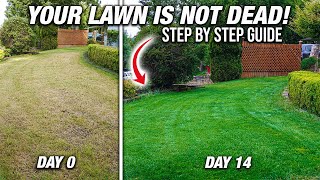 How To Fix An UGLY LAWN By Overseeding! DIY Step By Step Guide For Beginners!