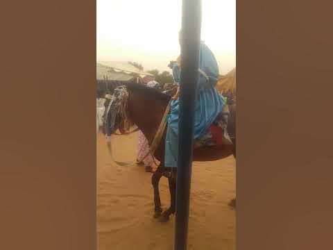 Foire "jangalma napp" de THIAMENE Cayor 31 mai ,2juin 2023 - YouTube
