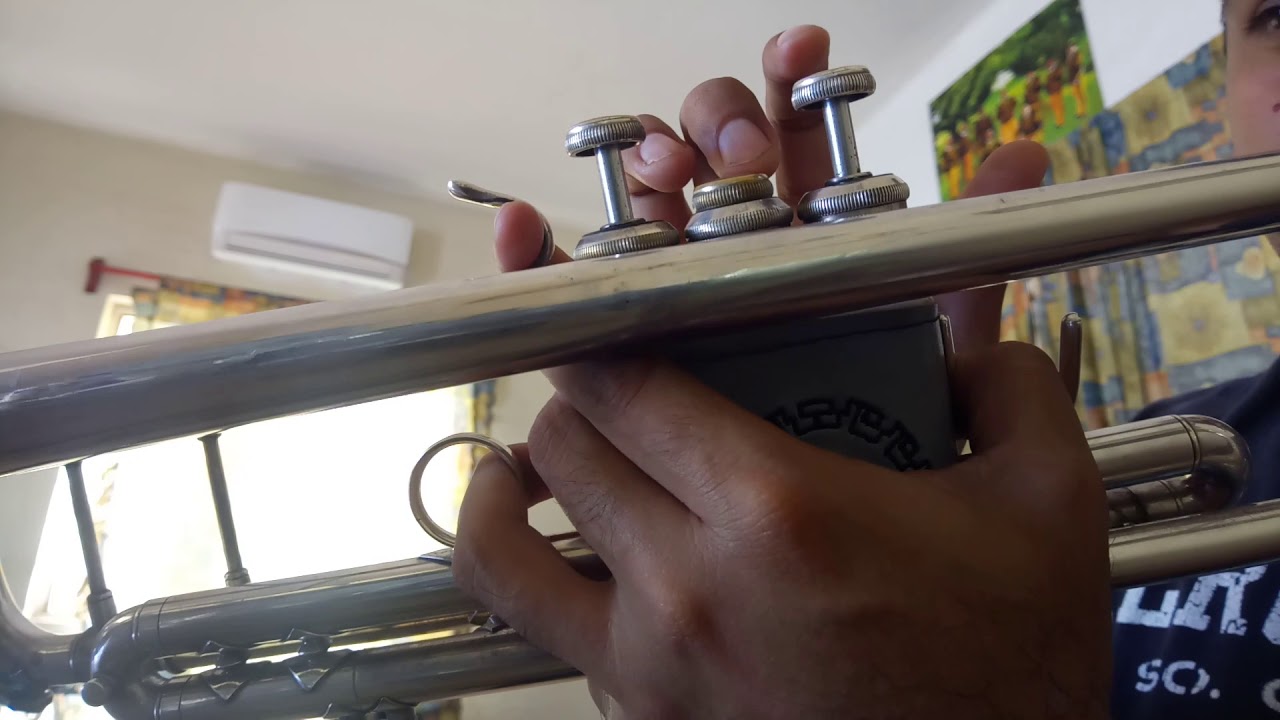 Como tu sangre en mi cuerpo - tutorial trompeta