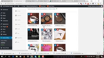 Setup Best Responsive WordPress Image Gallery 2020(With Lightbox) | Envira
