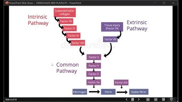 [HEMA-2] Overview of Hemostasis and Platelets