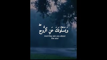 ويسألونك عن الروح قل الروح من امر ربي | القارئ شريف مصطفى