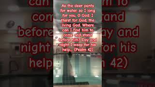 Soak In Psalms 42 As The Deer Pants For Water…