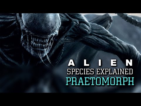 The Praetomorph -