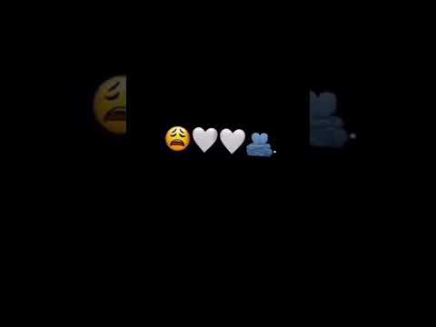 اغنيه احبك تدري شتمنه تكسر ضلعي بلحضنه شاشه سوداء بدون حقوق اغاني سيف نبيل اوفرلايز